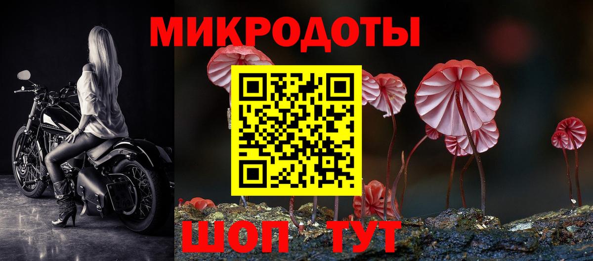 Кыштым  Галлюциногенные грибы Psilocybe  Вход с VPN 