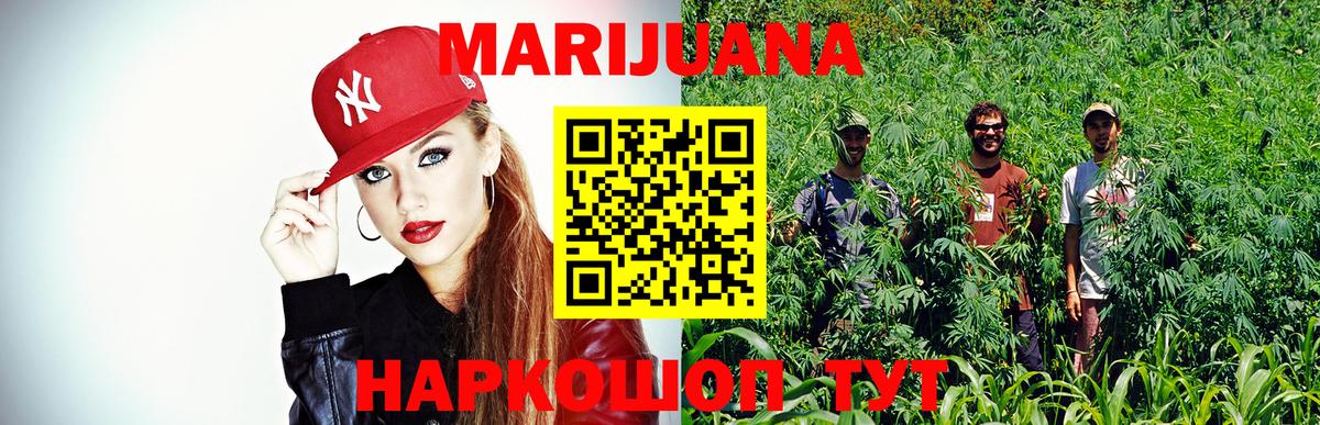 Бошки Шишки ГИДРОПОН  Бошки марихуана планчик  Вход с VPN  Бошки Шишки тримм  Кыштым 